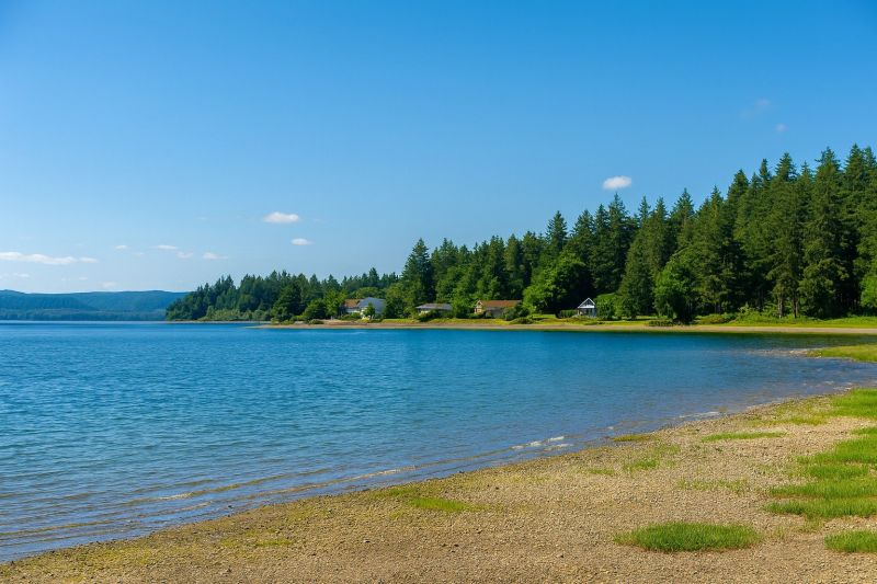 Best Shower Installation pros in Bellingham, WA